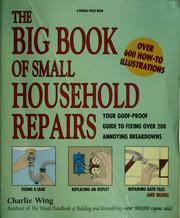 Cover of: The big book of small household repairs: your goof-proof guide to fixing over 200 annoying breakdowns
