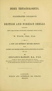 Cover of: Index testaceologicus: an illustrated catalogue of British and foreign shells, containing about 2,800 figures accurately coloured after nature