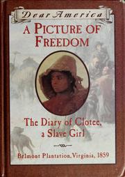 Cover of: Dear America A Picture of Freedom: The Diary of Clotee, a Slave Girl
