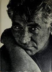 Cover of: The private world of Leonard Bernstein.