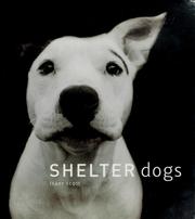 Cover of: Shelter dogs
