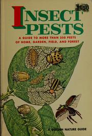 Cover of: Insect Pests