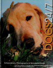 Cover of: Dogs 24/7: extraordinary photographs of wonderful dogs