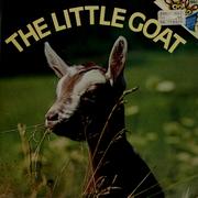 Cover of: The little goat