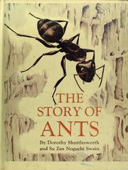 Cover of: The story of ants