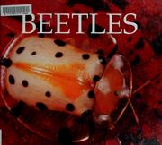 Cover of: Beetles