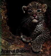Cover of: Animal babies. by Max Alfred Zoll