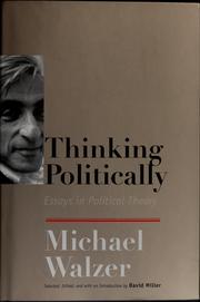 Cover of: Thinking politically: essays in political theory