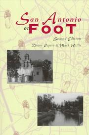 San Antonio on foot by Diane Capito