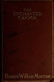 Cover of: The enchanted canyon by Honoré Morrow