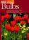 Cover of: All About Bulbs