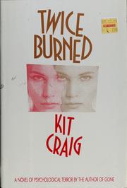 Cover of: Twice burned: a novel