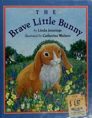 Cover of: The brave little bunny
