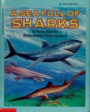 Cover of: A sea full of sharks by Betsy Maestro