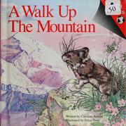 Cover of: A walk up the mountain