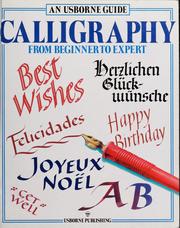 Cover of: Calligraphy from beginner to expert: an Usborne guide