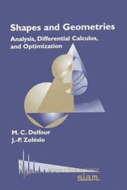 Shapes and geometries : analysis, differential calculus, and optimization