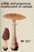Cover of: Edible and poisonous mushrooms of Canada