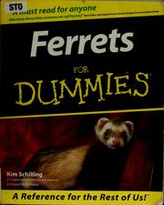 Cover of: Ferrets for dummies by Kim Schilling