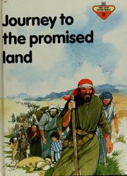 Cover of: Journey to the promised land by Penny Frank