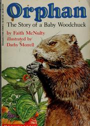 Cover of: Orphan: the story of a baby woodchuck