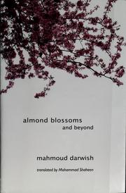 Cover of: Almond blossoms and beyond