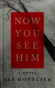 Cover of: Now you see him by Eli Gottlieb