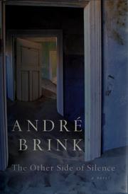 Cover of: The other side of silence by André Philippus Brink