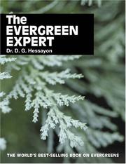 The evergreen expert