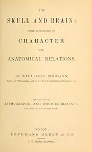 Cover of: The skull and brain | Nicholas Morgan
