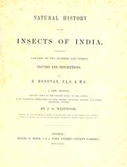 Cover of: Natural history of the insects of India by Edward Donovan