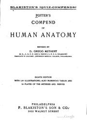 Cover of: Potter's compend of human anatomy