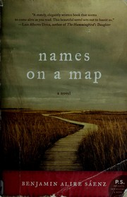 Cover of: Names on a map: a novel