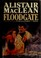 Cover of: Floodgate