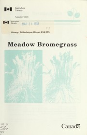 Cover of: Meadow bromegrass by R. P. Knowles