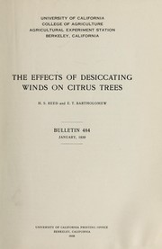 Cover of: The effects of desiccating winds on citrus trees