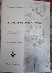 Cover of: A che servono le rose by 