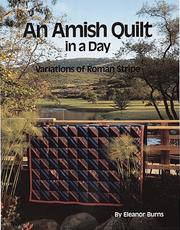 Cover of: Amish Quilt in a Day