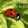 Cover of: An Alphabet Book of Bugs