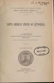 Cover of: North American species of Leptochloa