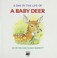 Cover of: A day in the life of a baby deer