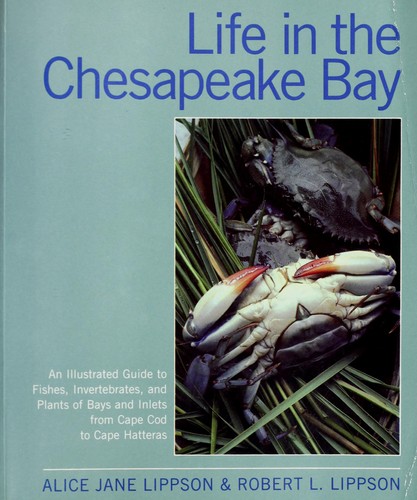 Life in the Chesapeake Bay