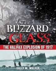 Blizzard of glass by Sally M. Walker