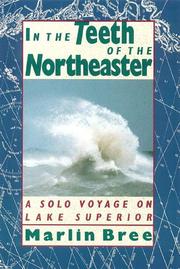 In the teeth of the northeaster by Marlin Bree
