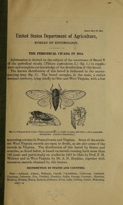Cover of: The periodical cicada in 1914.