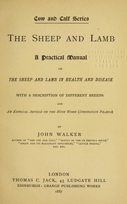 Cover of: The sheep and lamb by John Walker