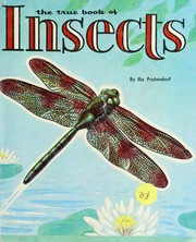Cover of: The true book of insects