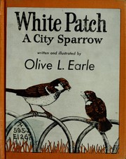 White Patch, a city sparrow by Olive Lydia Earle