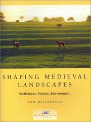 Shaping medieval landscapes : settlement, society, environment