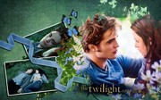 The twilight saga by Stephenie Meyer